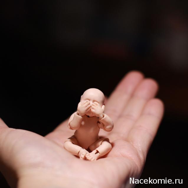 Caracal, строительство в разгаре