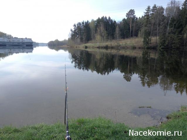 Matrena - Дом семьи де Монфор