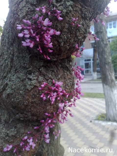 Куклы в народных костюмах – "Девчушки-болтушки"