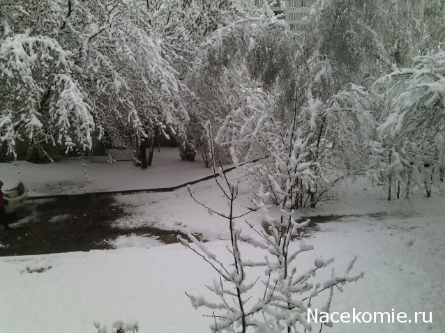 Anastasia24 Мой маленький мир...или ушла в детство))