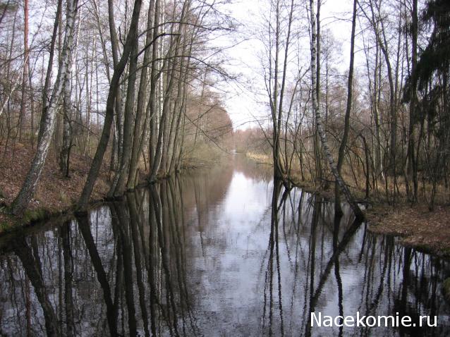 Белорусский праздничный костюм Гродненской губернии