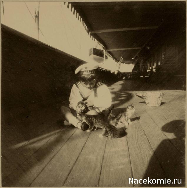 Императорская яхта «Штандарт» - Сборка корпуса