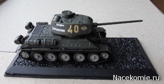 Коллекция TonyHazard