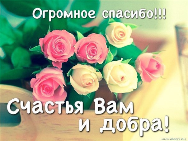Margaritka. Гасиенда Каса де лос Суэньос