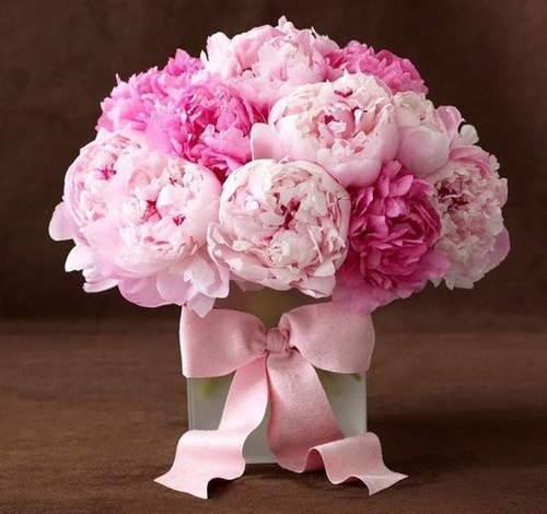 Дом Мечты Болталка: перезагрузка