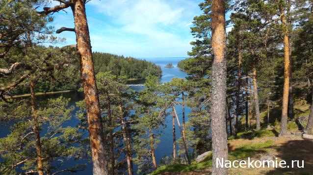 Мой любимый город или дорогие сердцу места