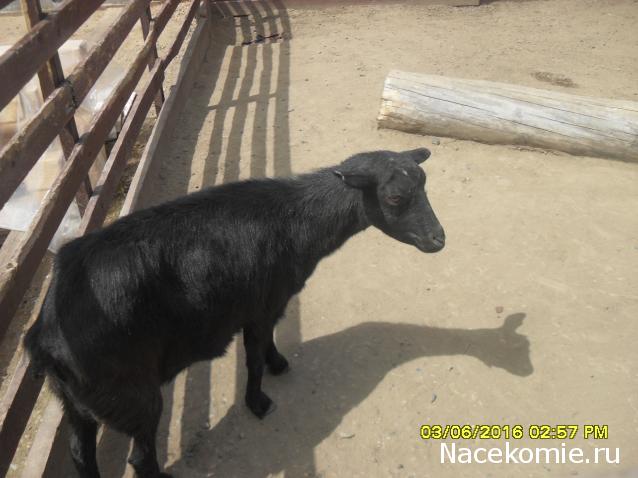 Мой любимый город или дорогие сердцу места