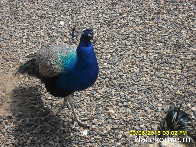 Мой любимый город или дорогие сердцу места