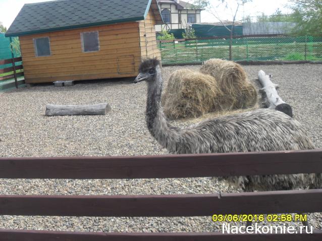 Мой любимый город или дорогие сердцу места