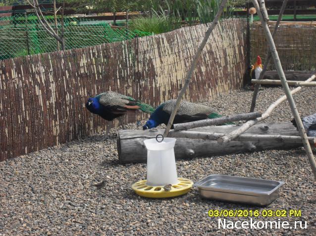 Мой любимый город или дорогие сердцу места