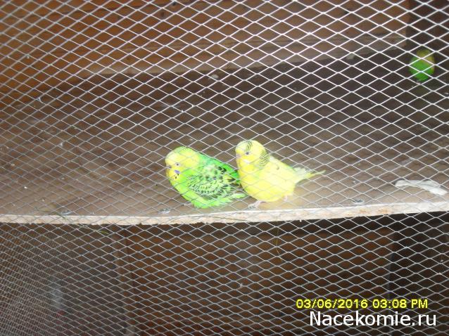 Мой любимый город или дорогие сердцу места