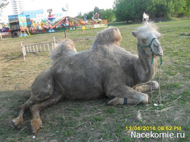 Мой любимый город или дорогие сердцу места