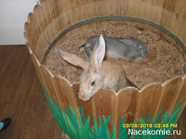 Мой любимый город или дорогие сердцу места