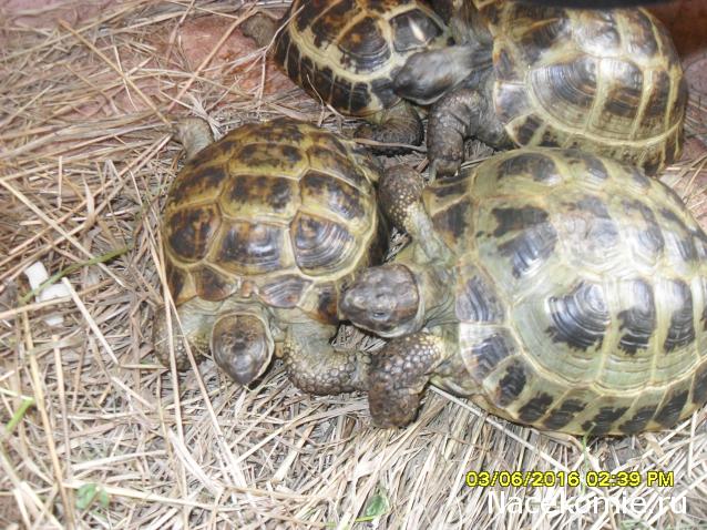 Мой любимый город или дорогие сердцу места