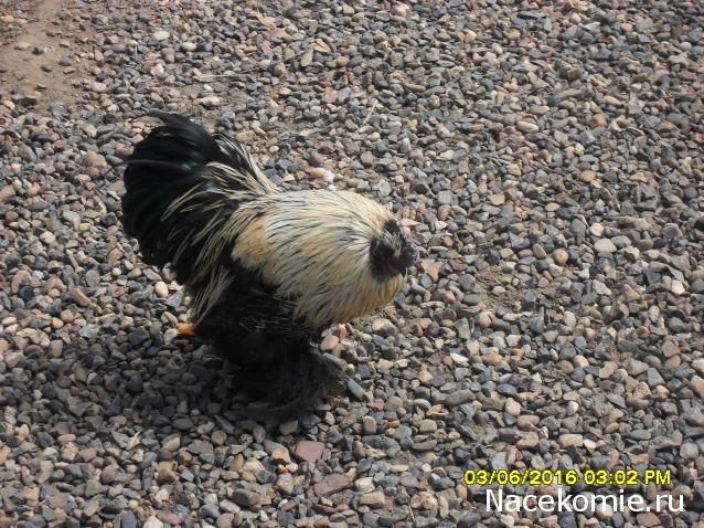 Мой любимый город или дорогие сердцу места