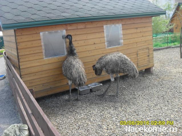 Мой любимый город или дорогие сердцу места