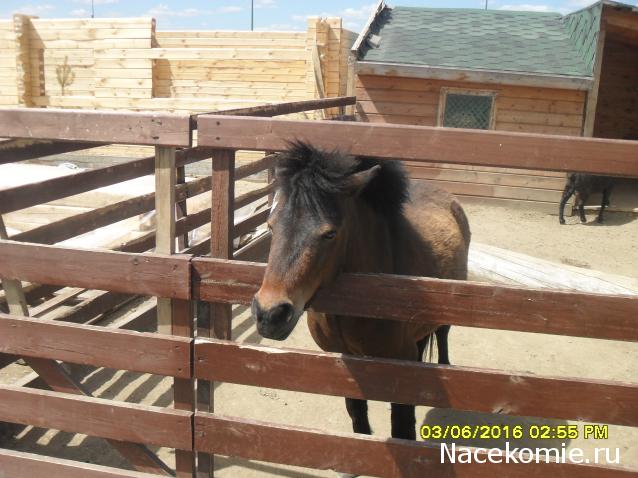 Мой любимый город или дорогие сердцу места