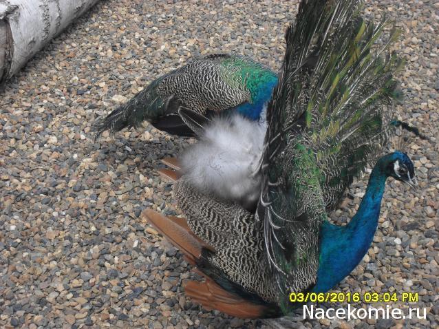 Мой любимый город или дорогие сердцу места