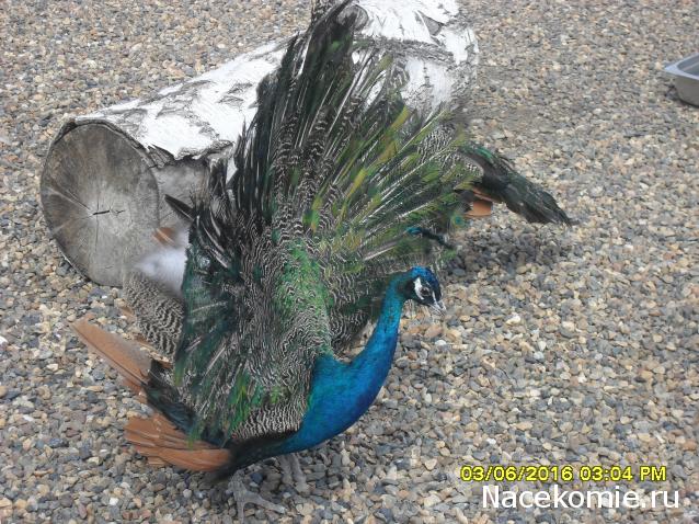 Мой любимый город или дорогие сердцу места