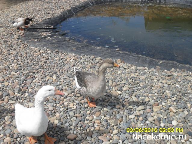 Мой любимый город или дорогие сердцу места