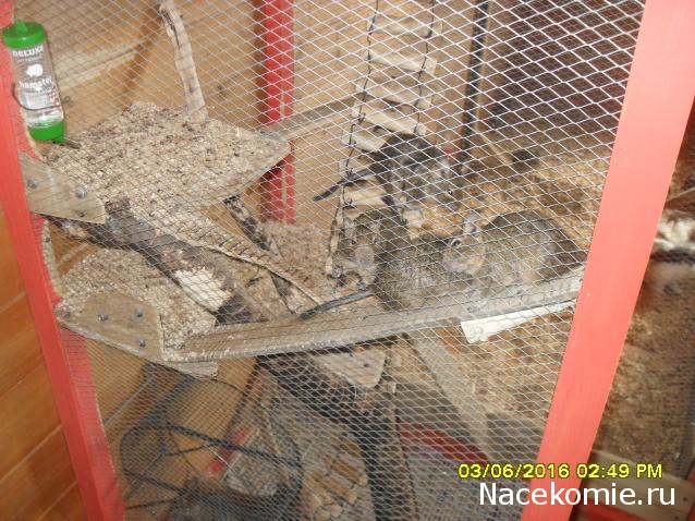 Мой любимый город или дорогие сердцу места