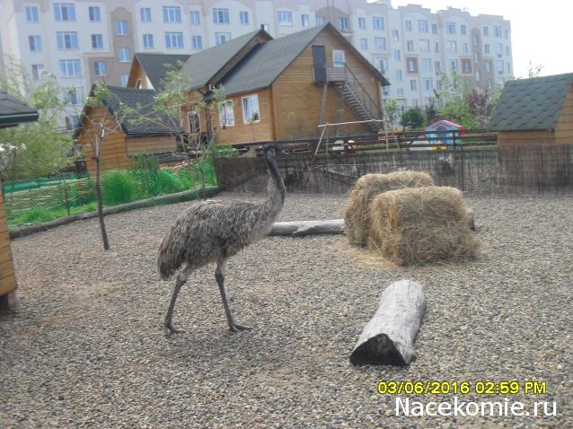 Мой любимый город или дорогие сердцу места