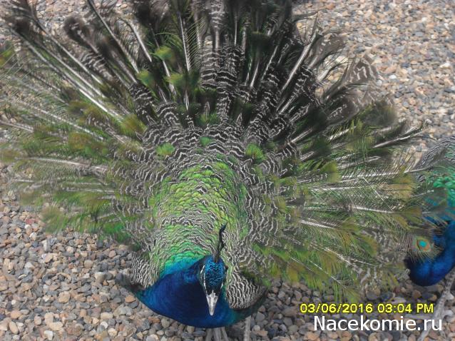 Мой любимый город или дорогие сердцу места