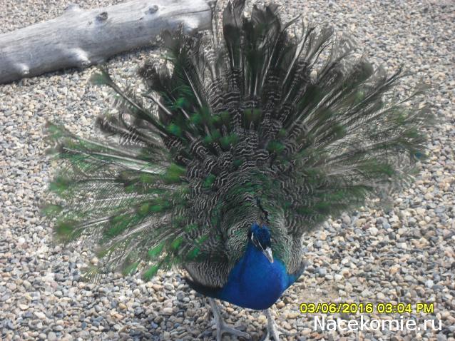 Мой любимый город или дорогие сердцу места