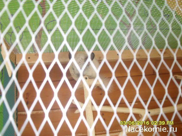 Мой любимый город или дорогие сердцу места