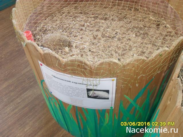 Мой любимый город или дорогие сердцу места