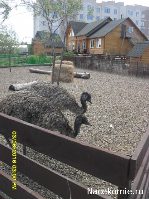 Мой любимый город или дорогие сердцу места