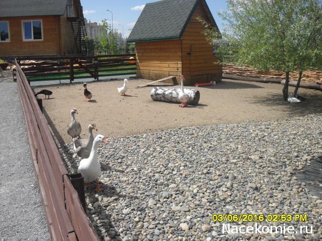 Мой любимый город или дорогие сердцу места