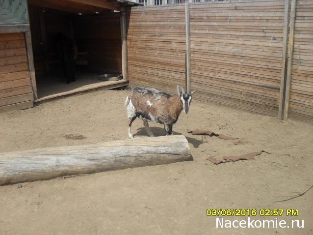 Мой любимый город или дорогие сердцу места