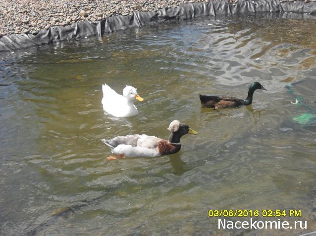 Мой любимый город или дорогие сердцу места