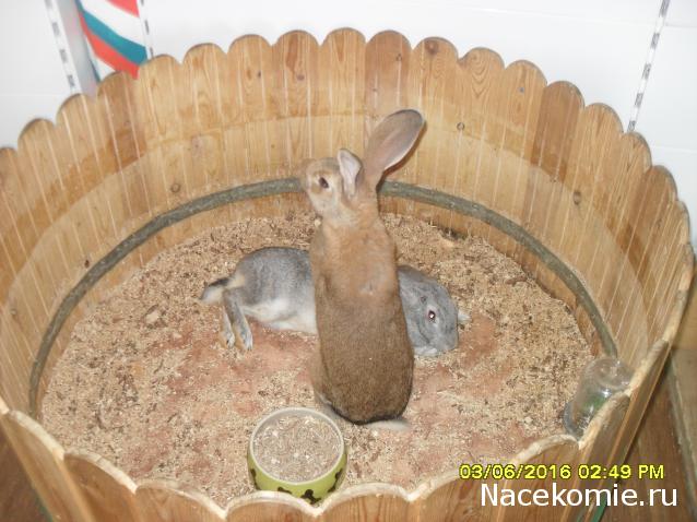 Мой любимый город или дорогие сердцу места