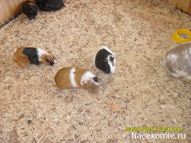 Мой любимый город или дорогие сердцу места