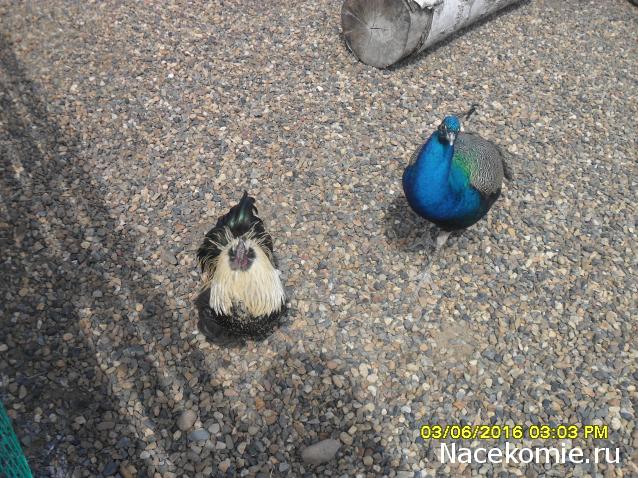 Мой любимый город или дорогие сердцу места