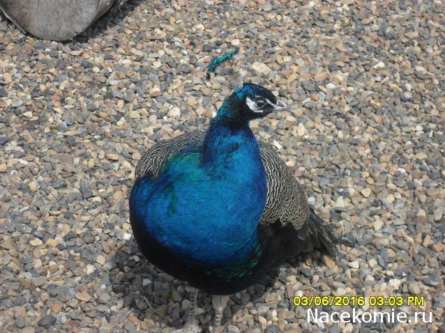 Мой любимый город или дорогие сердцу места