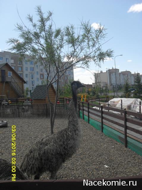 Мой любимый город или дорогие сердцу места