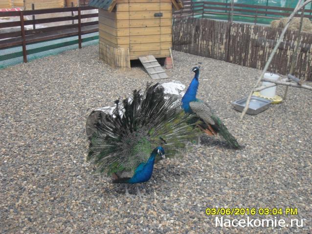 Мой любимый город или дорогие сердцу места