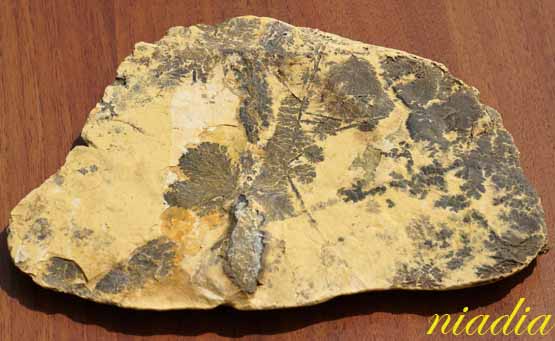 Энергия камней - Болталка