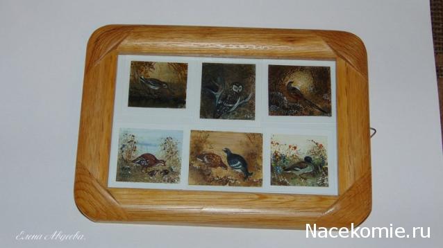 milena23 - Мечта моего детства.