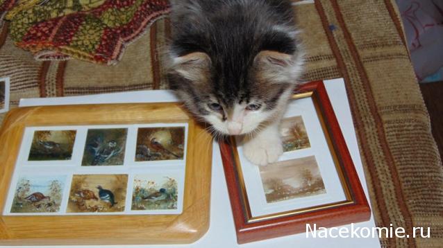 milena23 - Мечта моего детства.