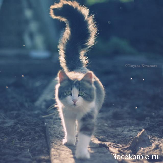 Наши Дни Рождения