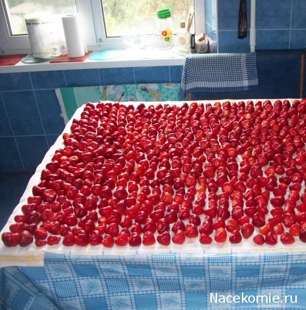 Moshule - Стройка века