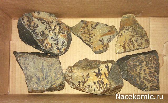 Энергия камней - Болталка