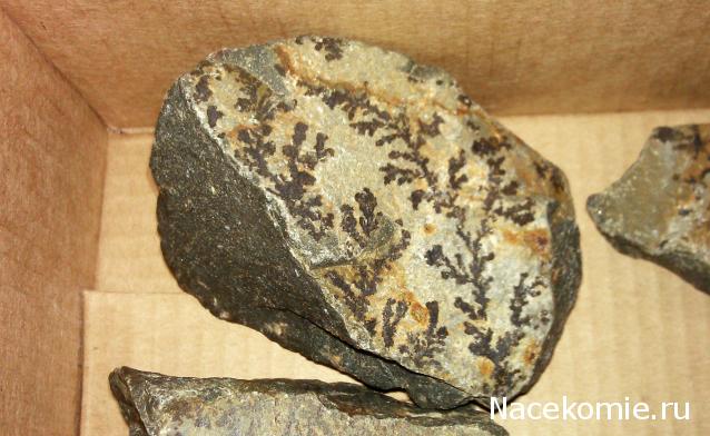 Энергия камней - Болталка