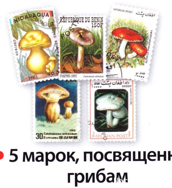 Почтовые Марки Мира - График Выхода и обсуждение