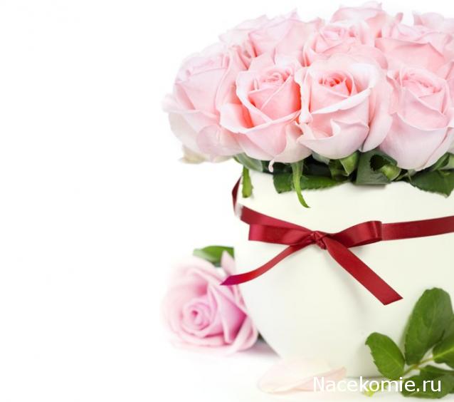 ElenaG - Первый шаг