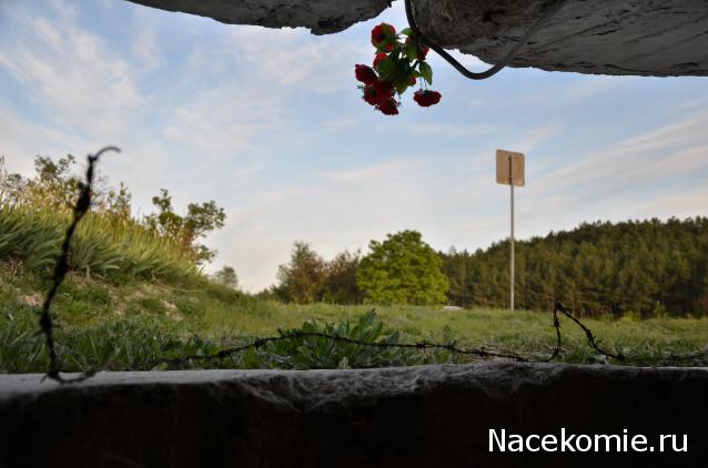 Танкодром (Общая Болталка танковых разделов)